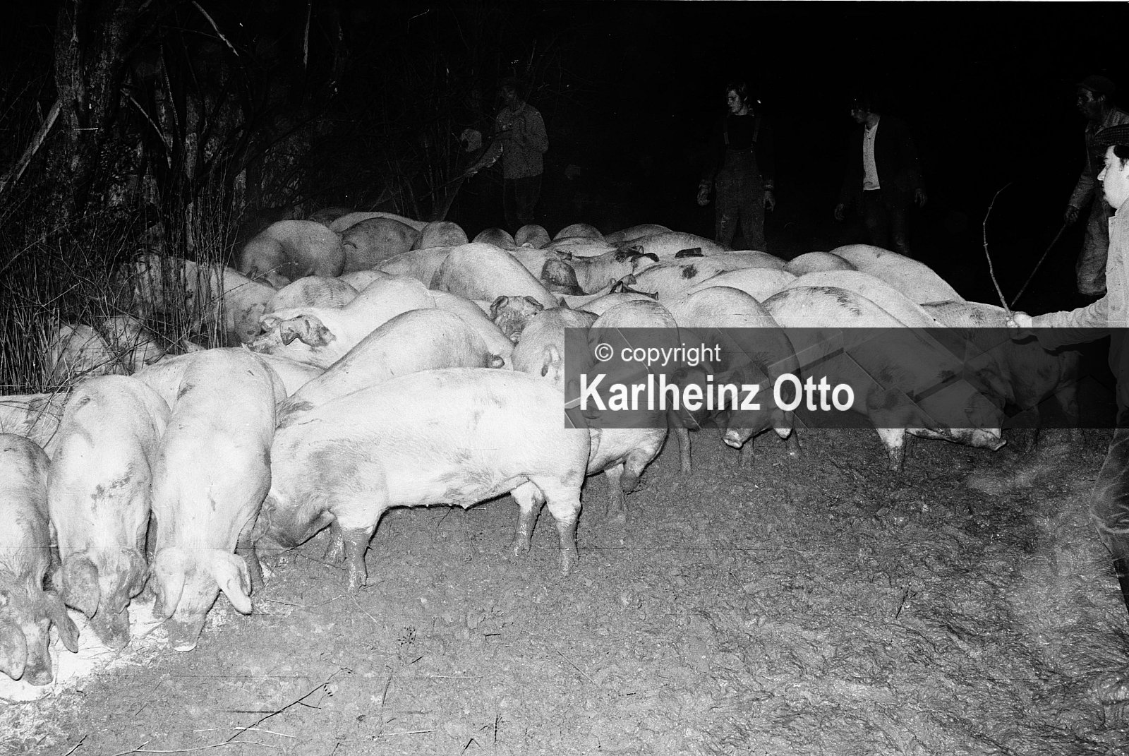 GÖTTINGEN FOTOS VON 1970 - 1974