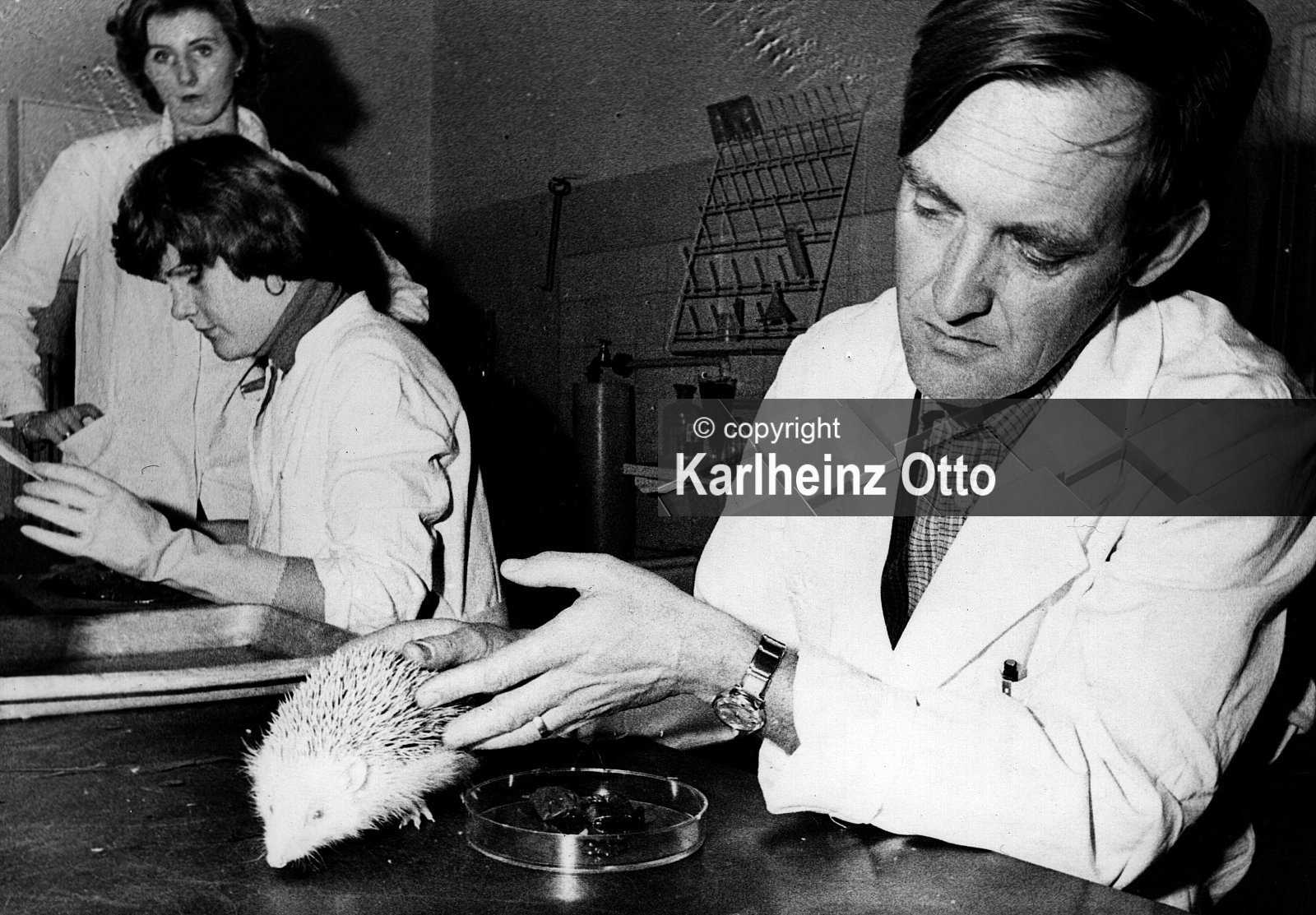 GÖTTINGEN FOTOS VON 1975 - 1979