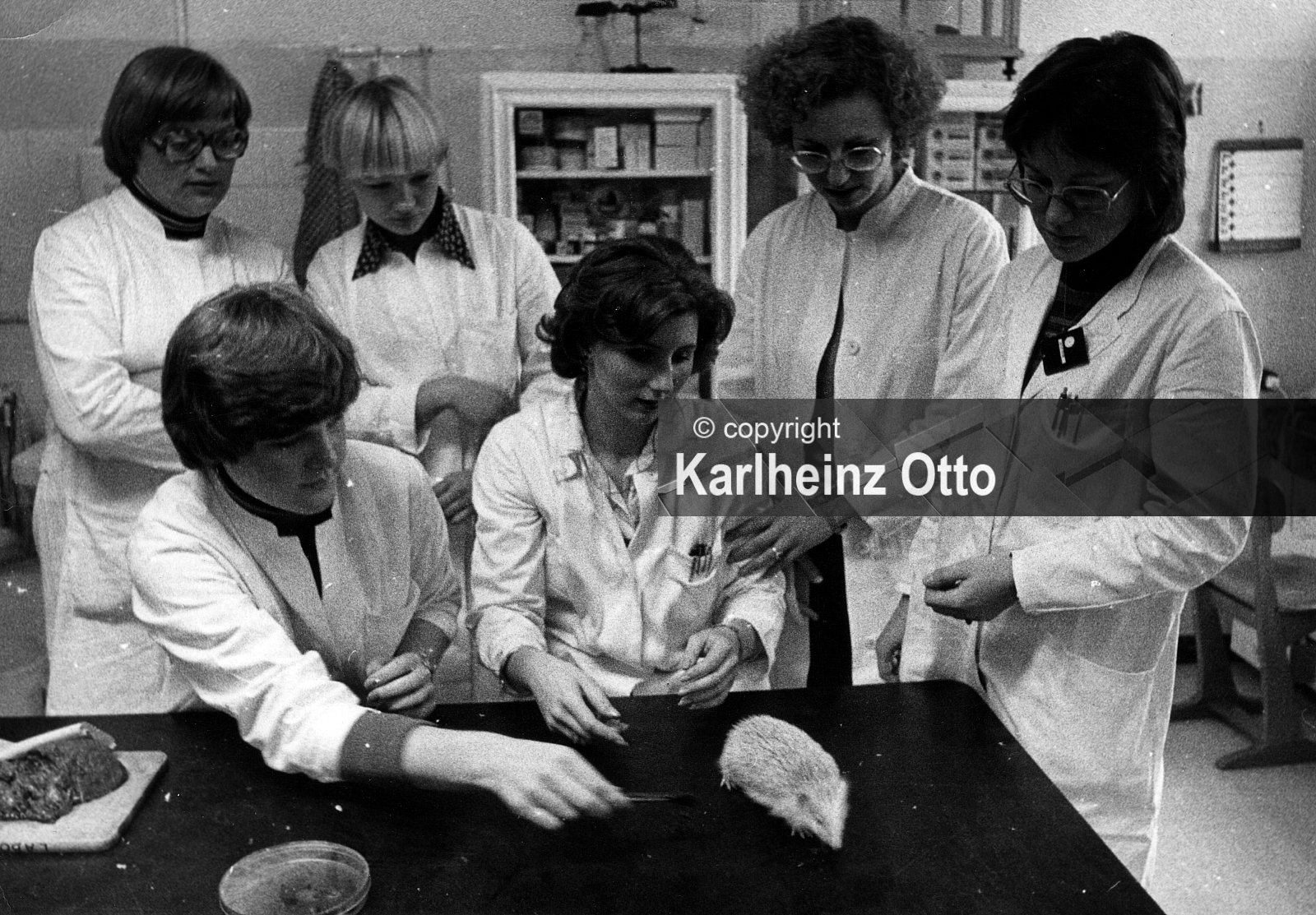 GÖTTINGEN FOTOS VON 1975 - 1979