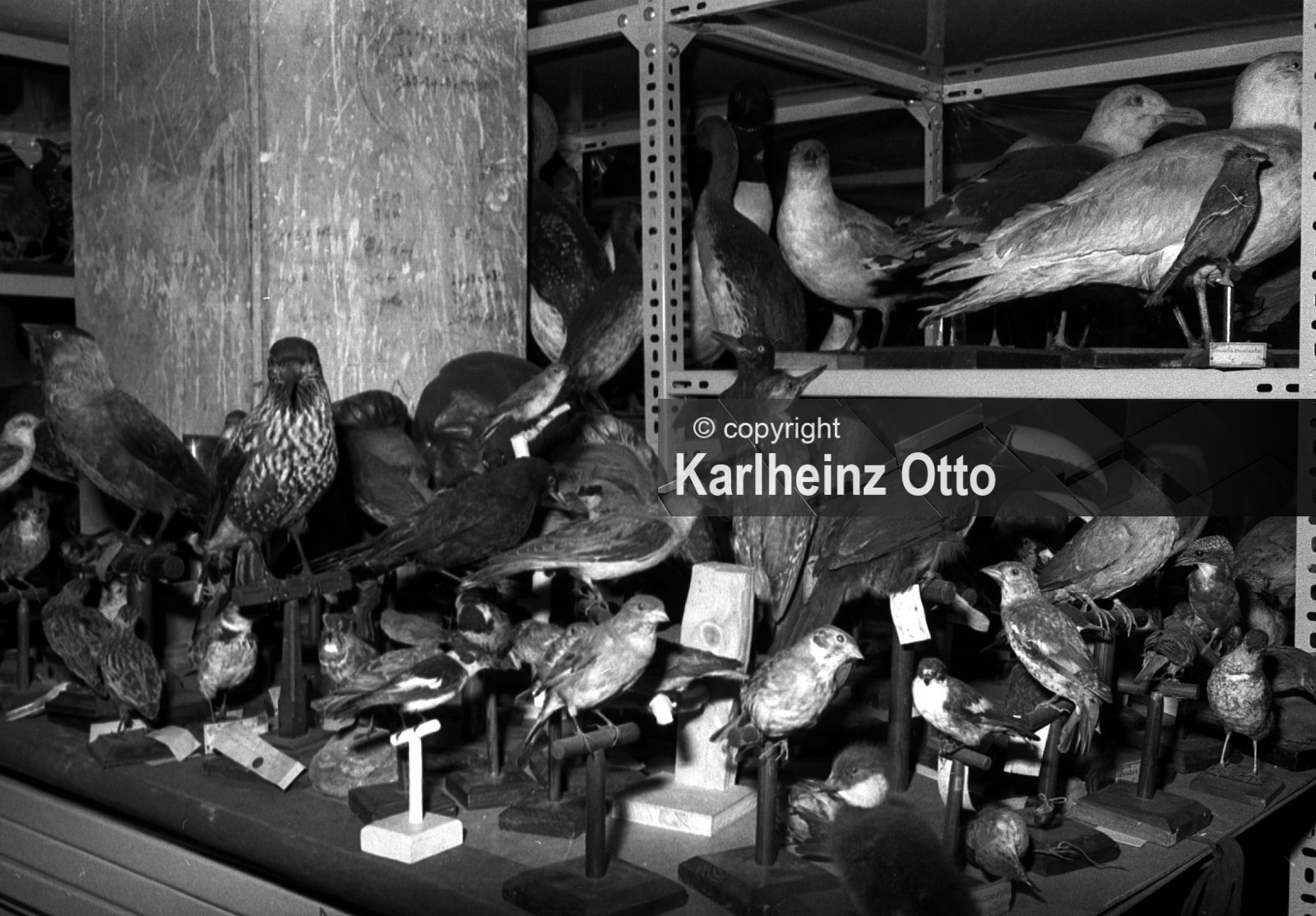 GÖTTINGEN FOTOS VON 1975 - 1979